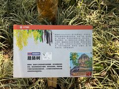 -中国科学院西双版纳热带植物园