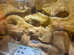 -上海昆虫博物馆