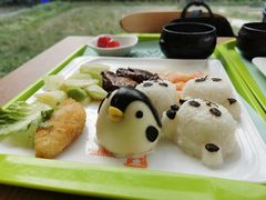 -上海野生动物园老虎餐厅