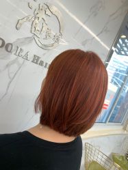-潘多拉Hairsalon