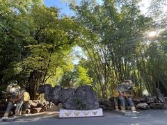 -云南勐巴娜西珍奇园