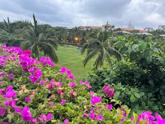 -海南铜鼓岭景区