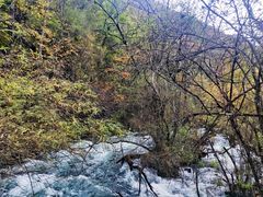 -叠溪松坪沟景区