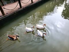 -苏州香山国际大酒店