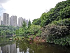 -重庆彩云湖湿地公园
