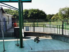 -中国扬子鳄村