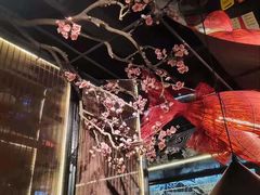 -老板恋上鱼(印象城店)