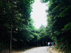 -普陀山风景区-佛顶山