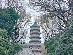 -灵谷景区