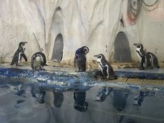 -太平洋海底世界