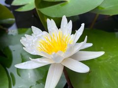 -灵山胜境