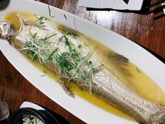 清蒸太湖白鱼-金枝玉叶上海人家食府(三里河店)