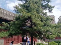 -大钟寺古钟博物馆