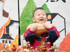 -金豆子幼稚园
