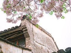 -仓桥直街