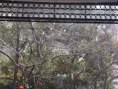 -玛格萝妮比萨屋(四平店)