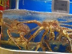 -金鹰超市(国际购物中心新街口店)