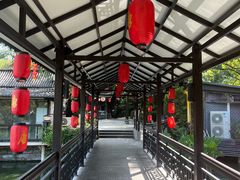 -侨美·唐荔园·40年地道粤菜