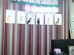 -瑞鹏宠物医院华南总院·夜诊·心脏科·骨科
