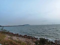 -宝安西湾红树林湿地公园