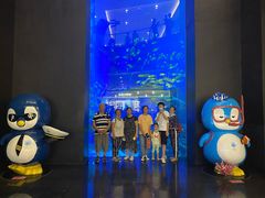 -成都浩海立方海洋公园