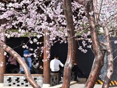 -三里河公园