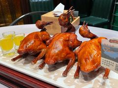 -大鸽饭(体育西路店)