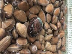 -兆辉木炭海鲜烧烤·海鲜小炒