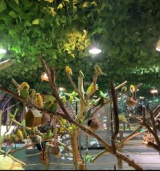 -酷嗒动物文化乐园(cutezoo西溪乐天城店)