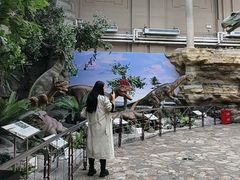 -国家自然博物馆