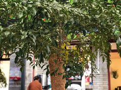 -阿鹏故事云南野生菌火锅(人民路店)