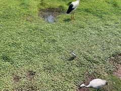 -普洱太阳河森林公园