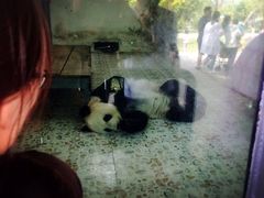 -西安秦岭野生动物园