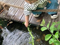 -成都市活水公园