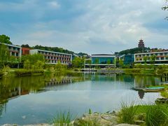 -铁山坪森林公园