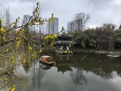 -水绘园
