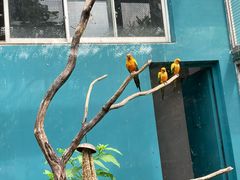 -无锡动物园·太湖欢乐园