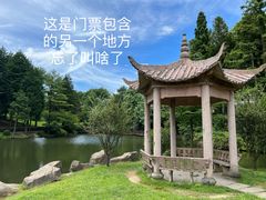 -四明山国家森林公园