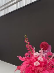 -广州美莱医疗美容医院