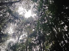-窦圌山风景区