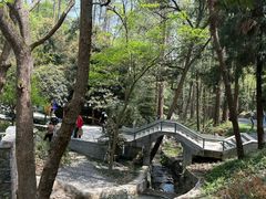 -东明山森林公园