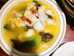 -邵年鸽(杨庄店)