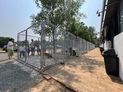 -北京京卫宠物寄养训练中心