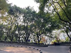 -重庆平顶山公园