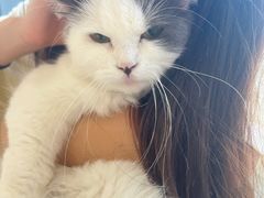 -怪兽屋·羊驼·猫咖·狗咖(俊华广场店)