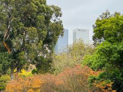 -墨尔本皇家植物园