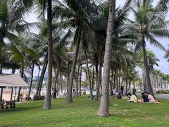 -欢乐海岸椰林沙滩-2025湾区超级灯会