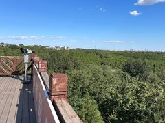 -北宫国家森林公园