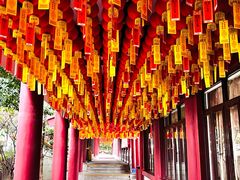 -我嘉书房(南翔名士居店)