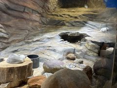 -香港海洋公园